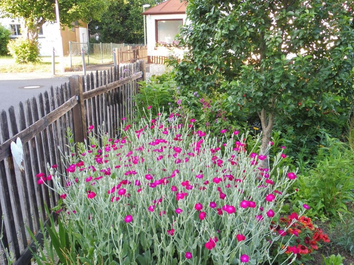 Apartment With Terrace And Pool In The Garden Pracht Eksteriør billede
